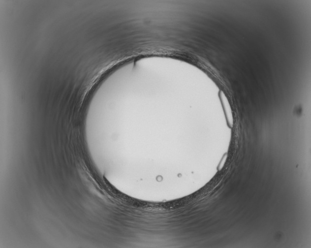 X0000114640203200912011056