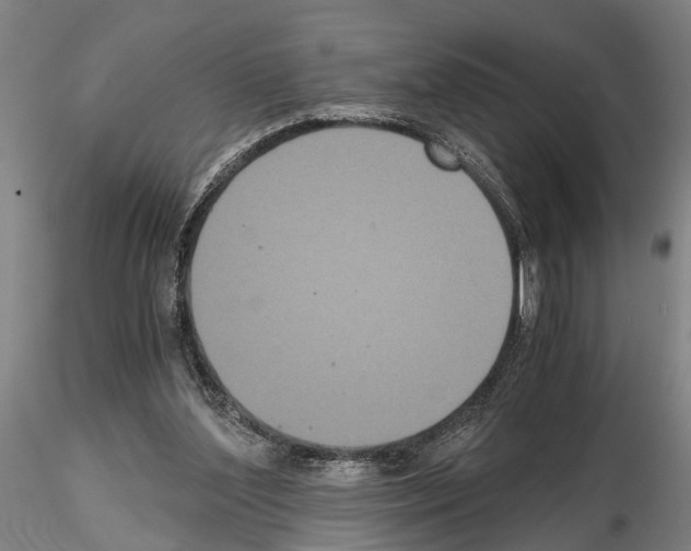 X0000114640204200912011056