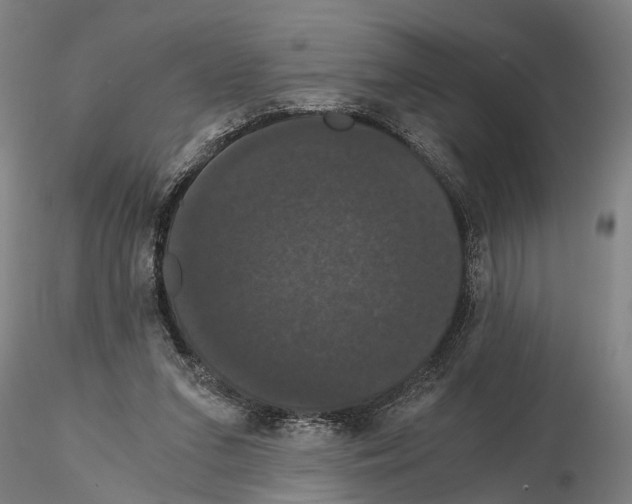 X0000114640207200912011056