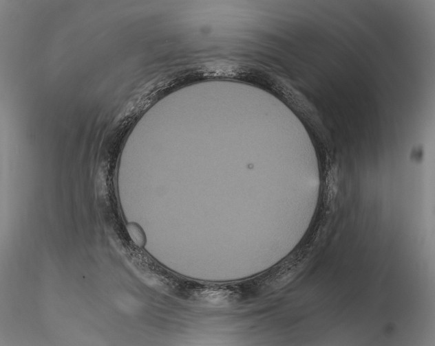 X0000114640209200912011056