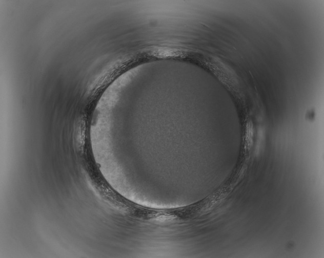 X0000114640210200912011056