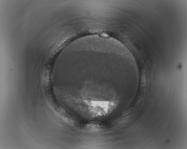 X0000114640211200912011056