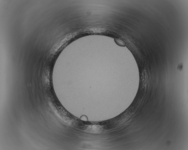 X0000114640212200912011056