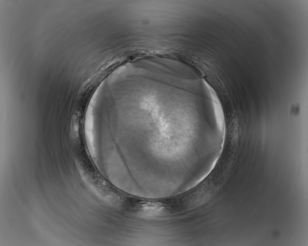 X0000114640214200912011056