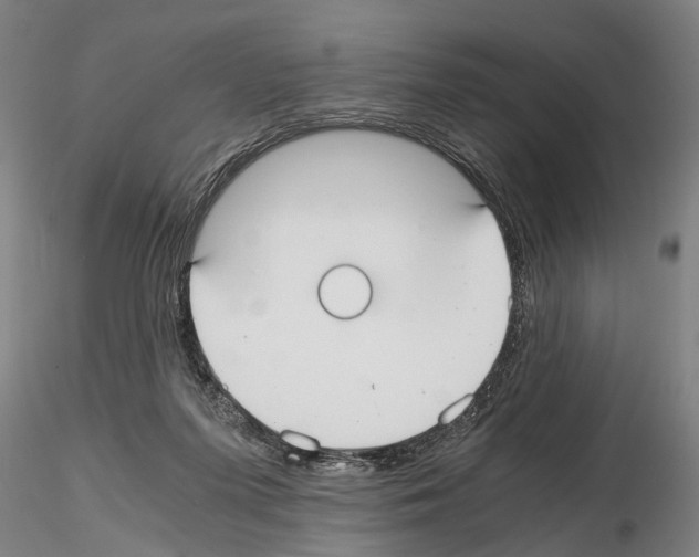 X0000114640215200912011056