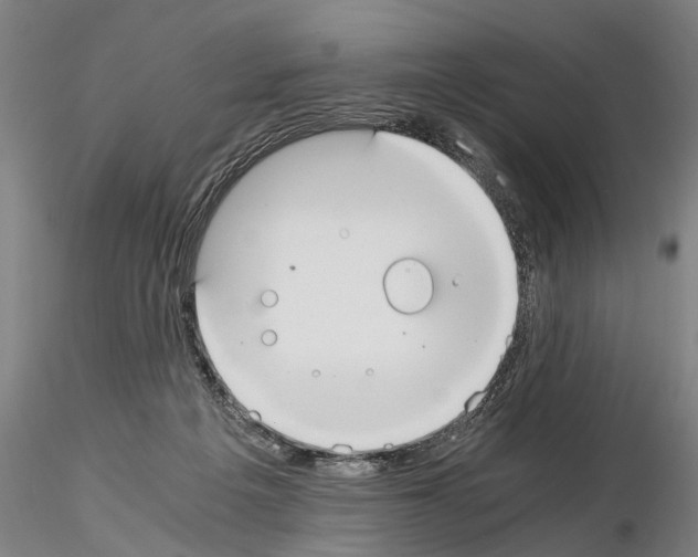 X0000114640217200912011056