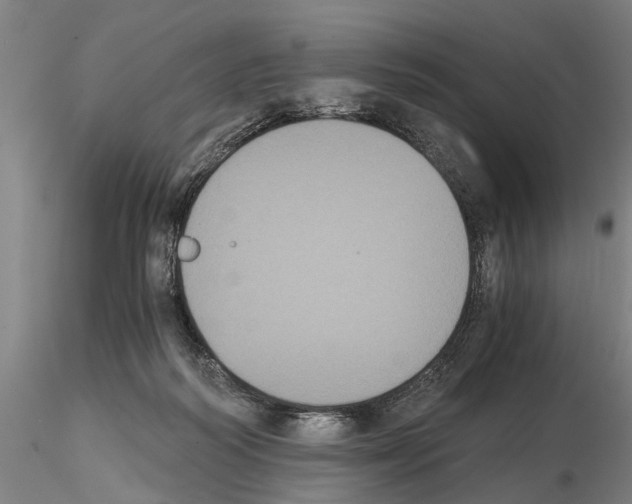 X0000114640218200912011056