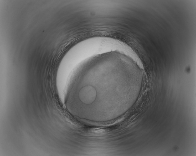 X0000114640219200912011056