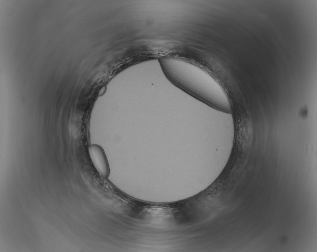 X0000114640221200912011056