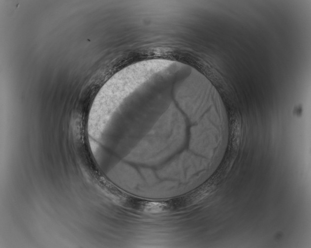 X0000114640222200912011056