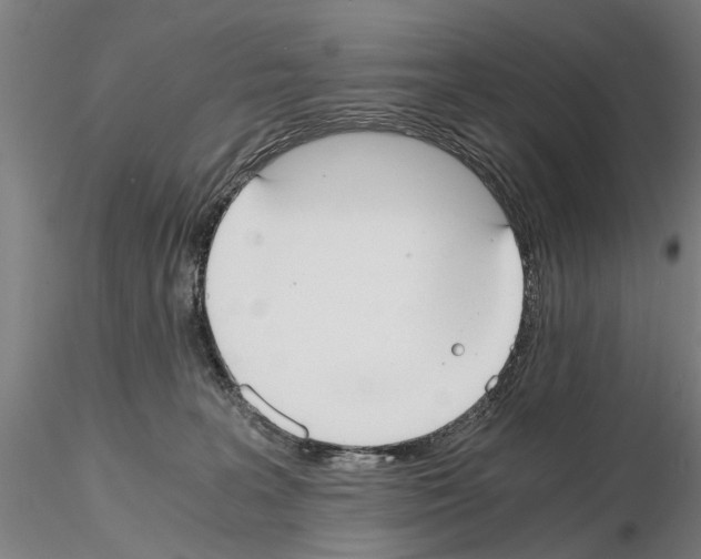 X0000114640227200912011056