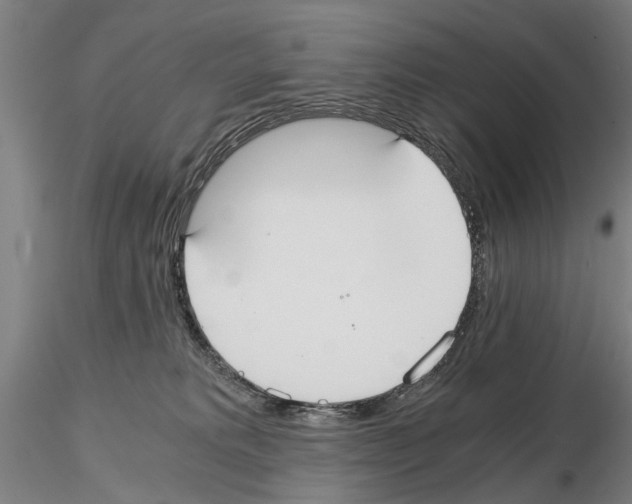 X0000114640229200912011056