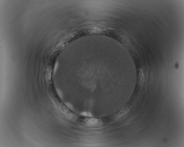 X0000114640230200912011056