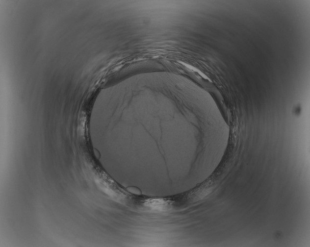 X0000114640231200912011056