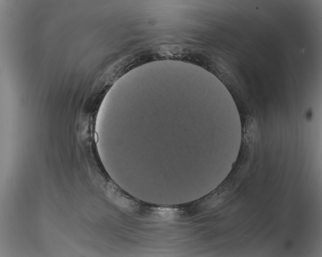 X0000114640233200912011056