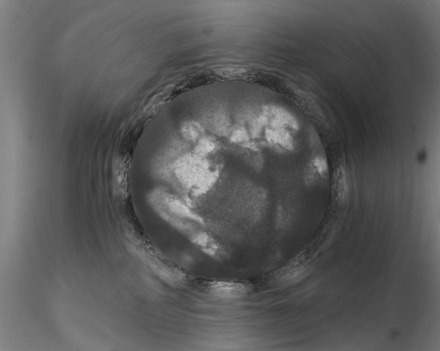 X0000114640234200912011056