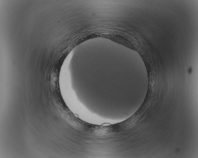 X0000114640235200912011056