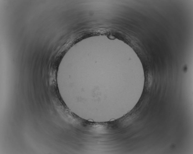 X0000114640236200912011056