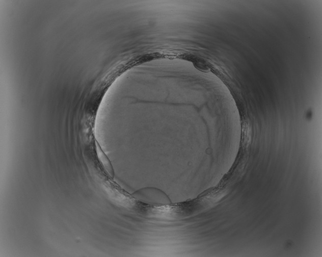 X0000114640237200912011056