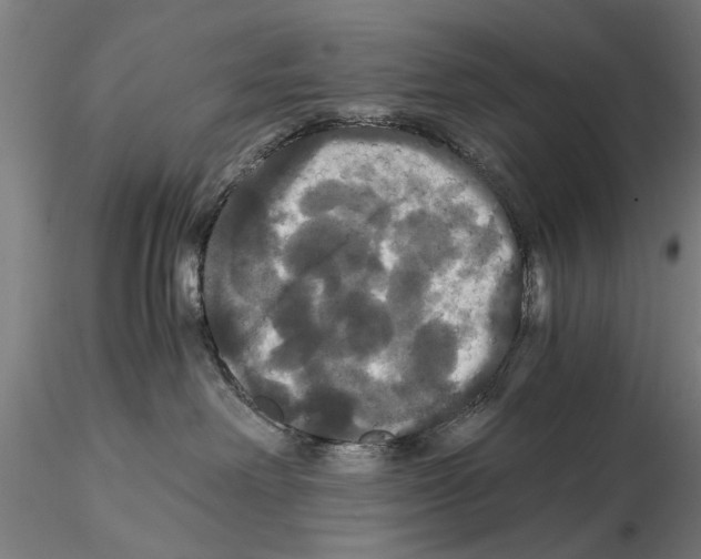 X0000114640238200912011056