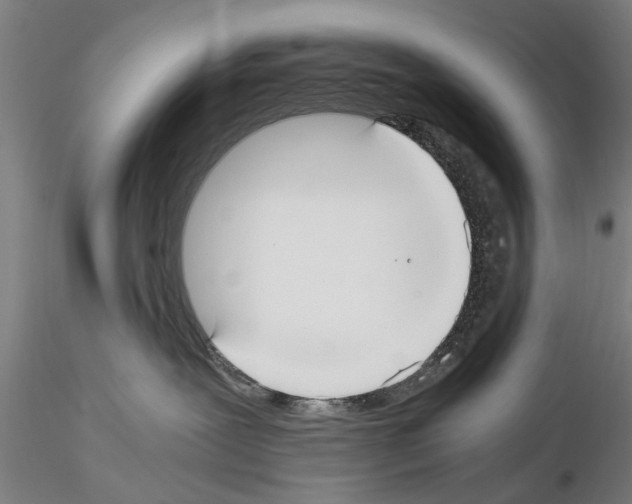 X0000114640239200912011056