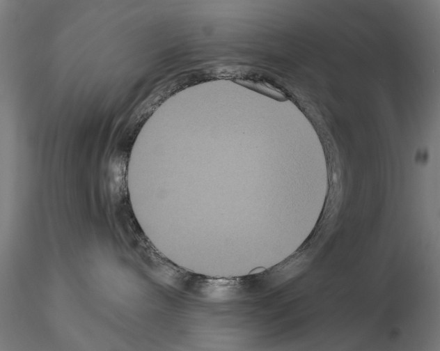 X0000114640240200912011056