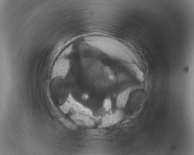 X0000114640241200912011055