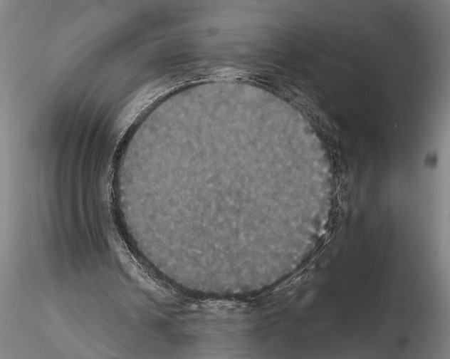 X0000114640242200912011055