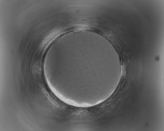 X0000114640243200912011055