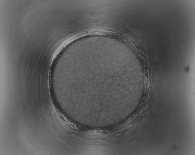 X0000114640244200912011055