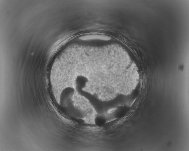 X0000114640245200912011055