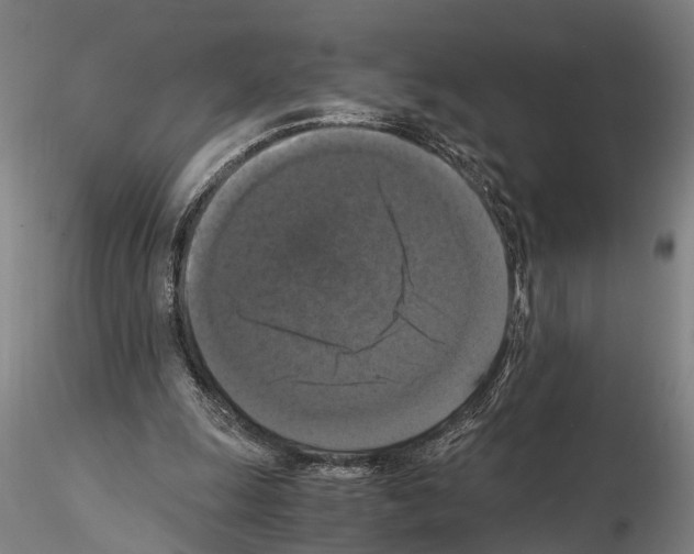 X0000114640247200912011055