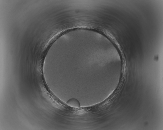 X0000114640249200912011055