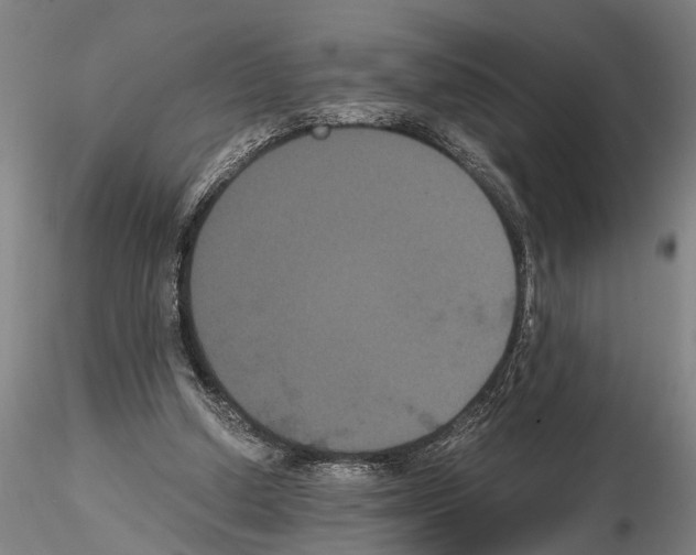 X0000114640250200912011055