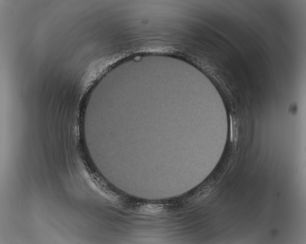 X0000114640252200912011055