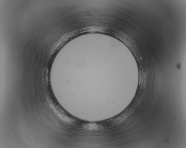 X0000114640253200912011055