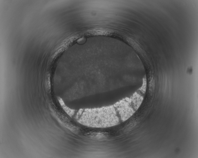 X0000114640254200912011055