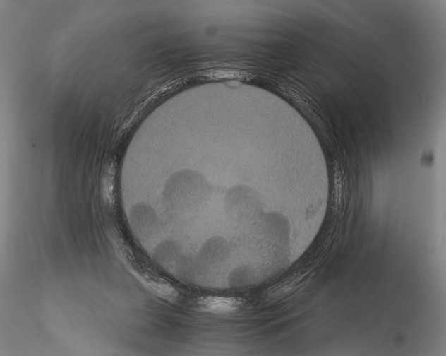 X0000114640255200912011055