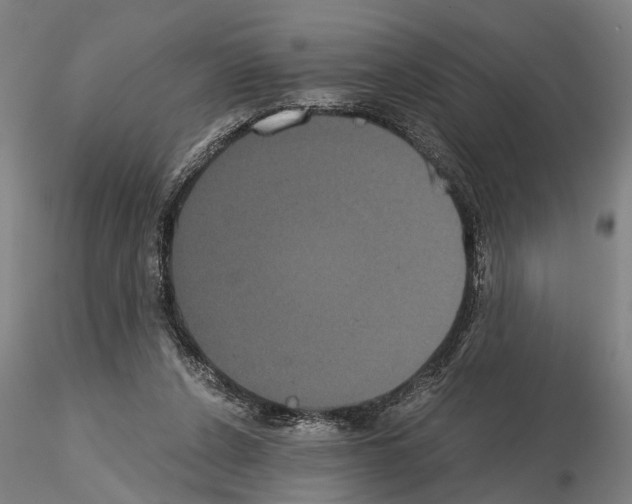 X0000114640256200912011055