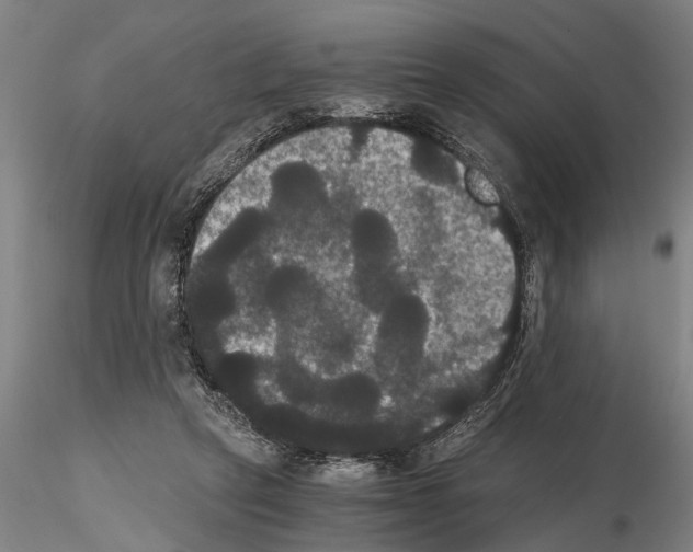 X0000114640257200912011055