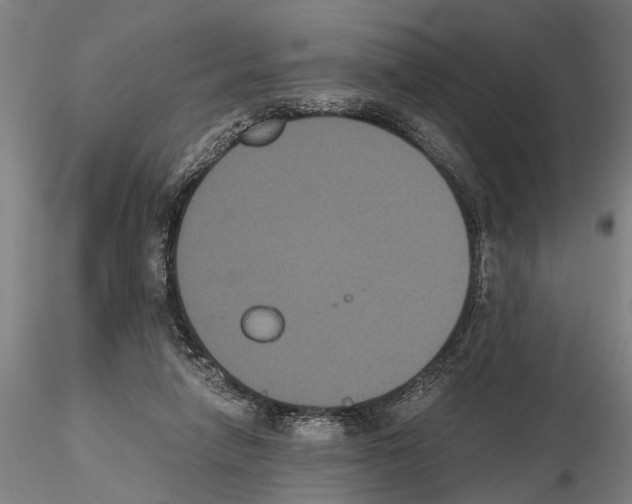 X0000114640258200912011055