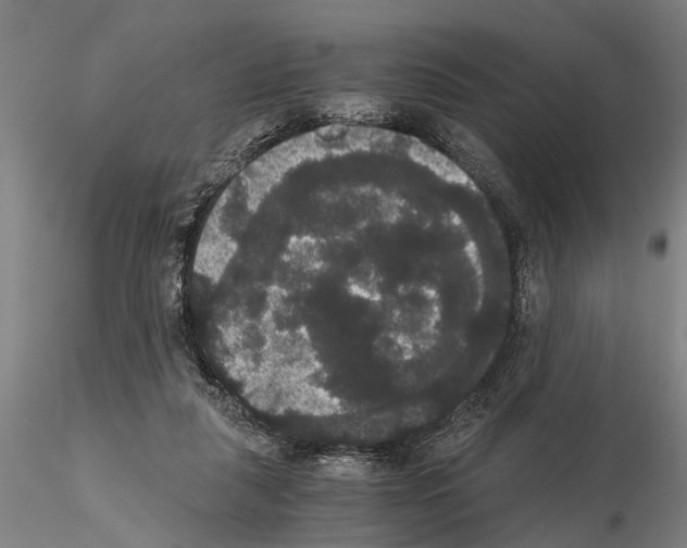 X0000114640259200912011055