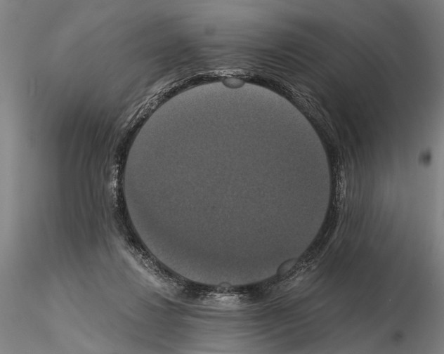 X0000114640260200912011055