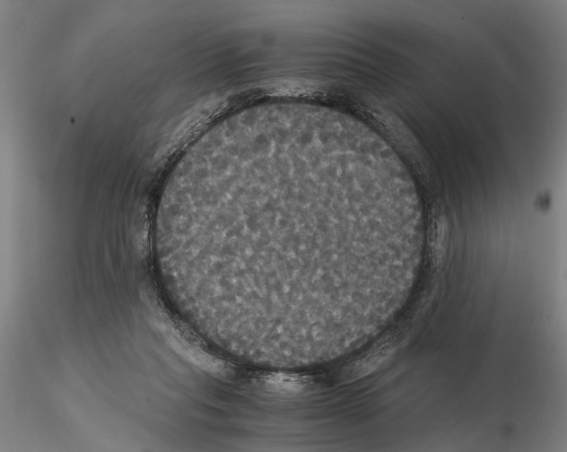 X0000114640261200912011055