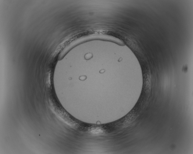 X0000114640262200912011055