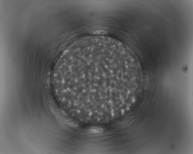 X0000114640263200912011055