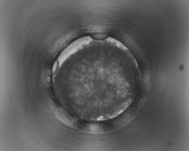 X0000114640264200912011055