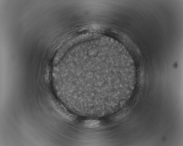 X0000114640266200912011055