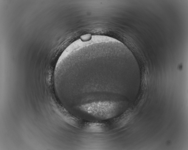 X0000114640268200912011055