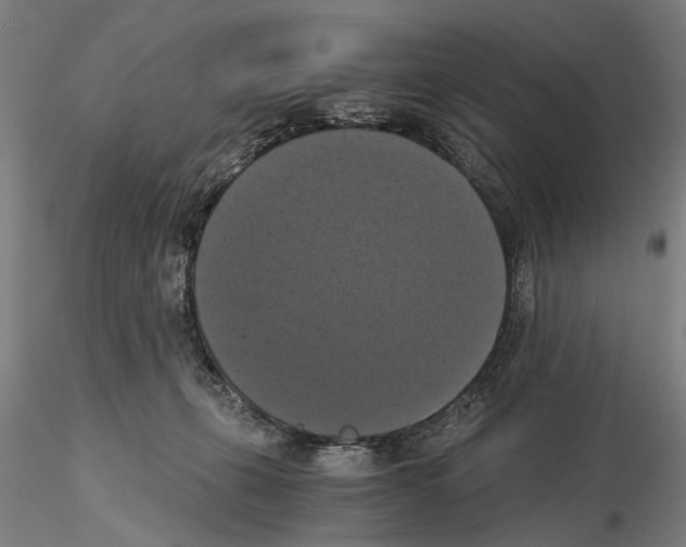 X0000114640271200912011056